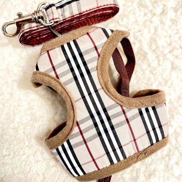 HOSTย PICK!โโจโจโจ๐๐๐๐๐๏ธ๐๏ธ๐๏ธ - Picture 4 of 5